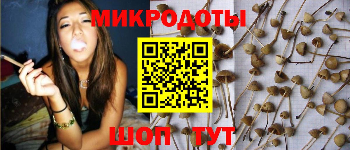 Псилоцибиновые грибы GOLDEN TEACHER Нальчик